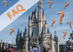 Walt Disney World Cinderella's Castle FAQ surrounded by Question Marks