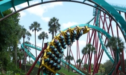 Roller Coaster at Busch Gardens in Tampa Florida