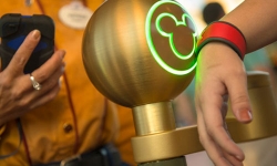 Enter the World of Disney with Magic Bands