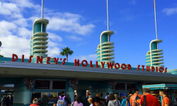 View of the Entrance to Disney Hollywood Studios