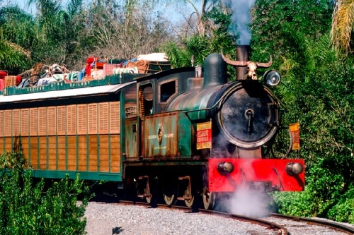 Disney Animal Kingdom Wildlife Express Train rounding the track to the station